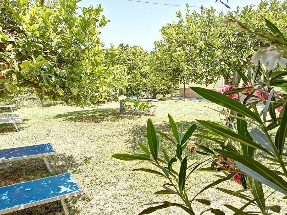 Villa Primofiore Di Vendicari La Banca Ngoại thất bức ảnh