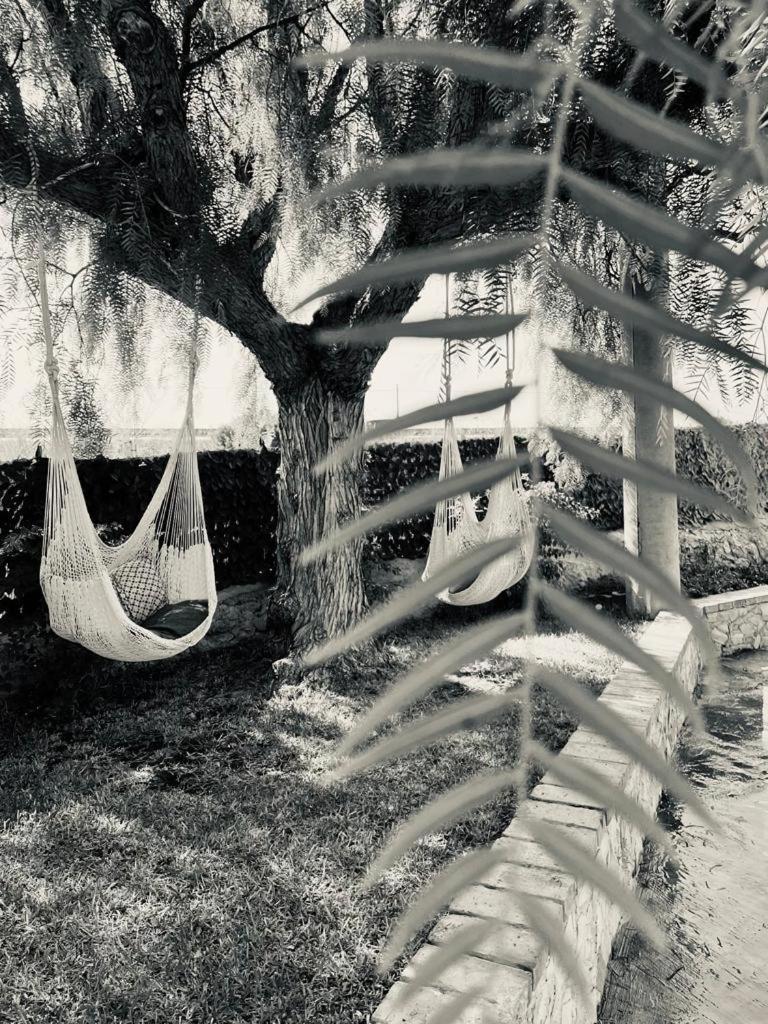 Villa Primofiore Di Vendicari La Banca Ngoại thất bức ảnh